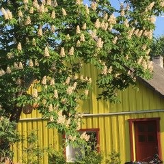 Kuraga Bed and Breakfast in Kihnu