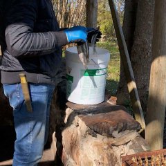 Kohalik amps – freshly smoked fish from a local fisherman in Kihnu